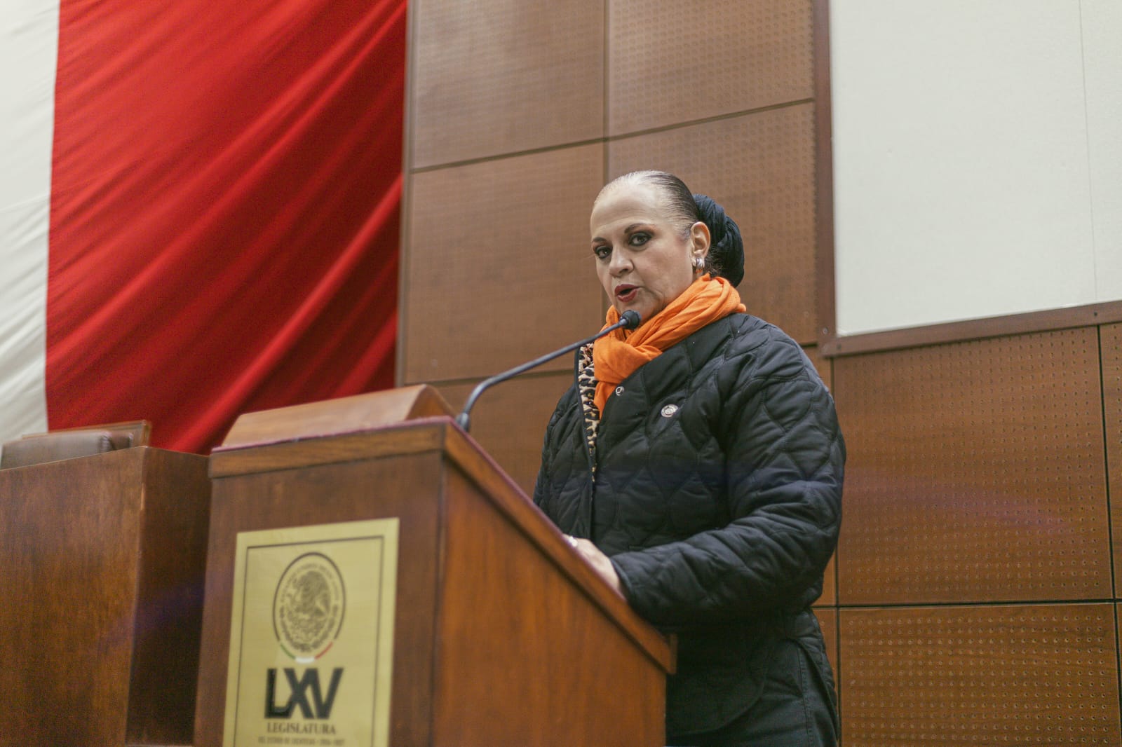 IMPULSA ANA MARÍA ROMO SALUD MENTAL DE NIÑOS Y ADOLESCENTES