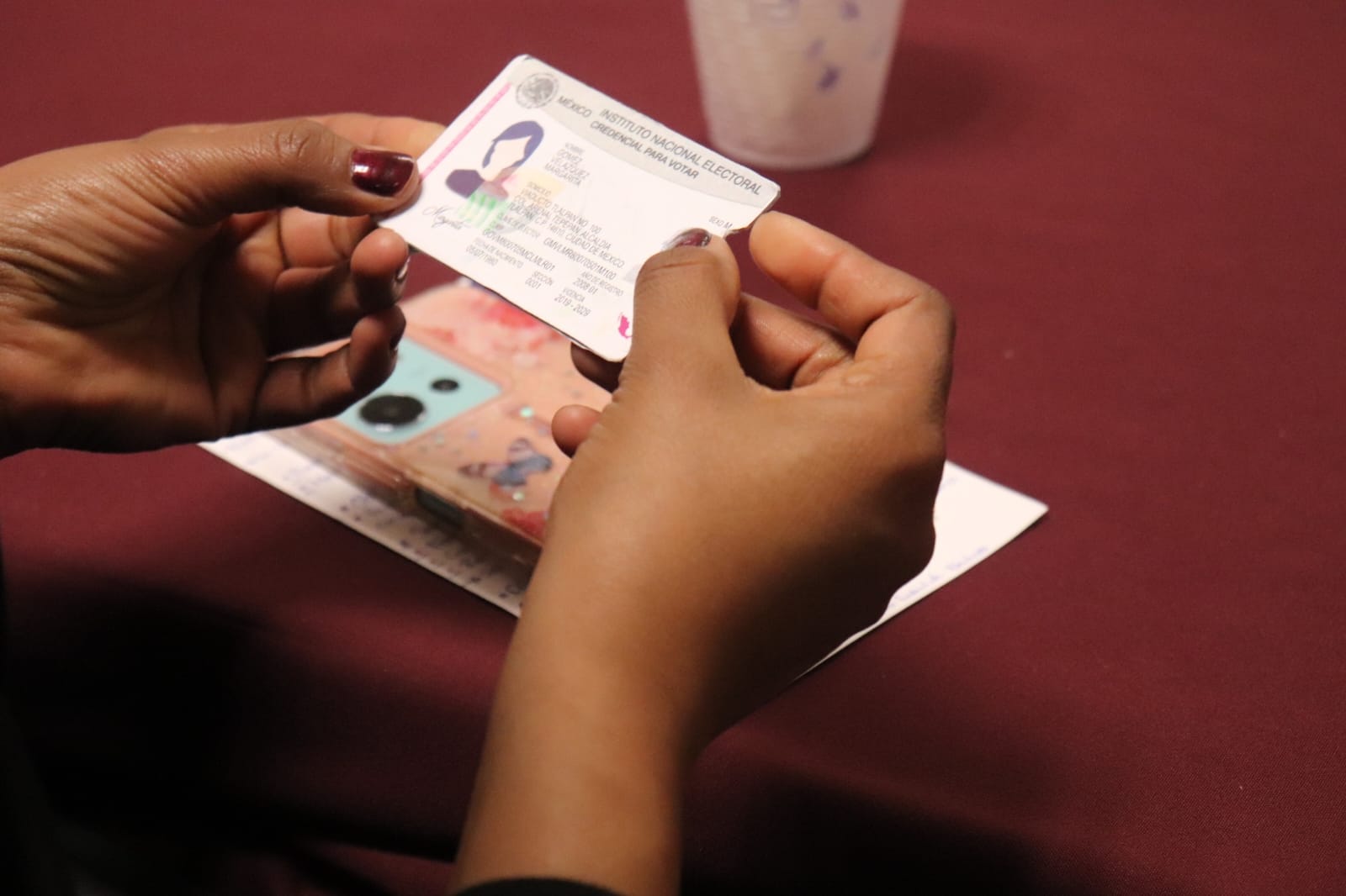 NUEVAS OPCIONES EN LA CREDENCIAL PARA VOTAR: IDENTIDAD DE GÉNERO Y AUTOIDENTIFICACIÓN INDÍGENA Y AFROMEXICANA