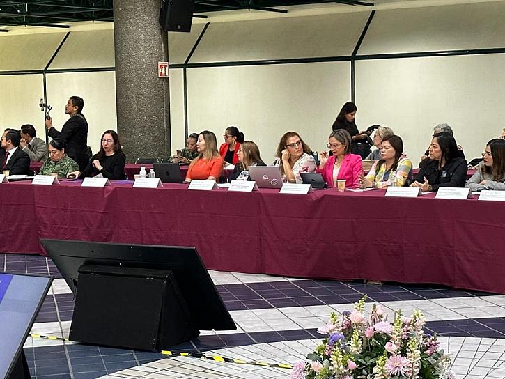 PARTICIPA ZACATECAS EN SESIÓN DE ERRADICACIÓN DE LA VIOLENCIA CONTRA LAS MUJERES 