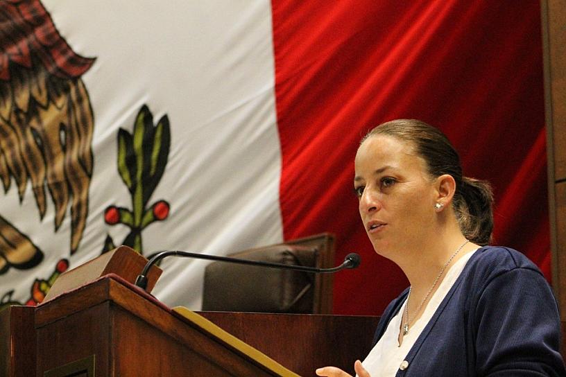 PENDIENTE, DICTAMINACIÓN DE DESPENALIZACIÓN DEL ABORTO; SE BUSCARÁ ESCUCHAR A TODAS LAS VOCES
