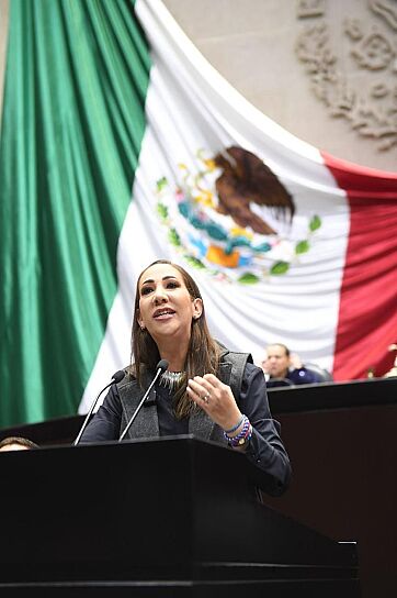 PIDE NOEMÍ LUNA APLICAR PROTOCOLOS CONTRA BULLYING ESCOLAR