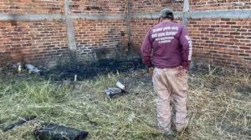PERRO CON PIERNA HUMANA EN EL HOCICO CONDUCE A FOSA CLANDESTINA 