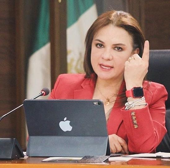 PESE A EMBATES, LA SOCIEDAD CONFÍA EN EL INAI: JULIETA DEL RÍO 