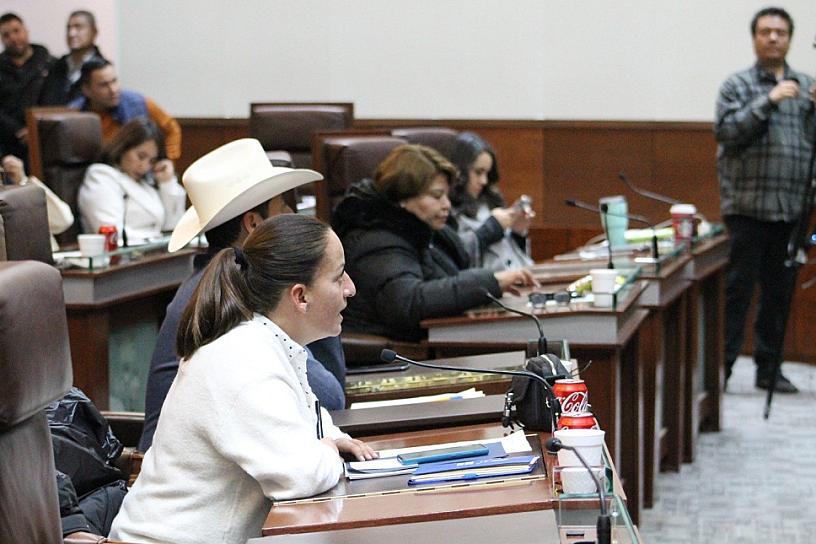 PIDE DIPUTADA REASIGNAR PRESUPUESTO DEL VIADUCTO PARA RESTAURACIÓN DEL EMBOVEDADO; DIPUTADOS LA ECHAN ATRÁS