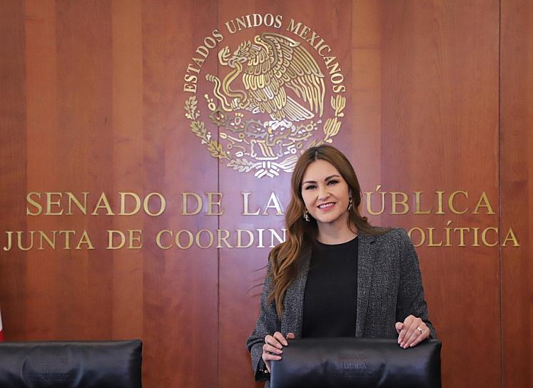 PIDE GEOVANNA BAÑUELOS DETERMINAR CAUSAS DE INCREMENTO DE SISMOS EN ZACATECAS 