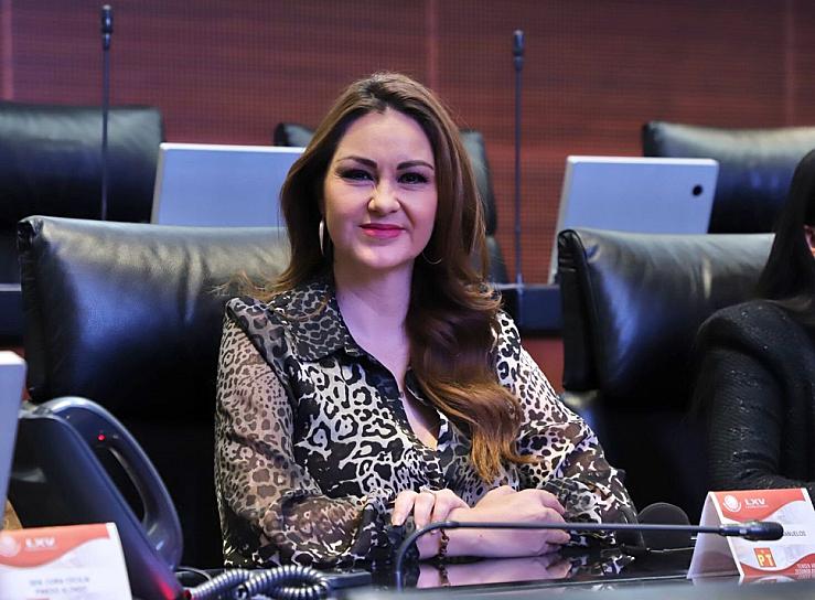 PIDE GEOVANNA BAÑUELOS IMPLEMENTAR PLAN ANTE CONTAMINACIÓN DEL AGUA 