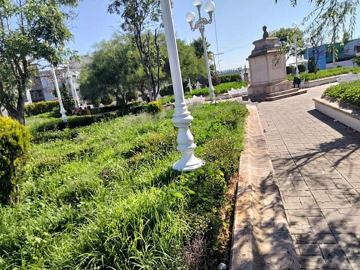 PIDEN MANTENIMIENTO PARA ÁREAS VERDES 