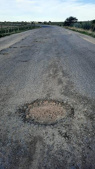 PIDEN REHABILITACIÓN DE CARRETERA ESTATAL 181