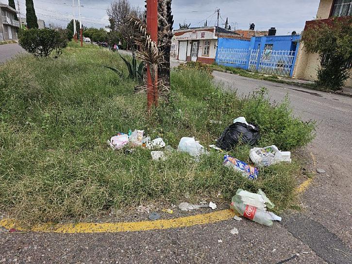 PIDEN VECINOS MEJORAR CAMELLÓN DE LA CALLE SAUCES EN FRESNILLO 