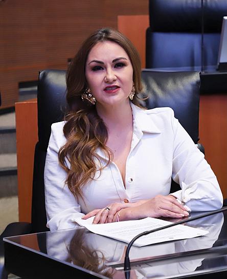 PIDE SENADORA QUE SE INVESTIGUE EL PROBLEMA DE LA MINERÍA ILEGAL 