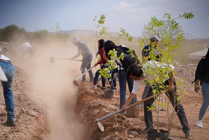 PLANTAN MÁS DE 400 ÁRBOLES EN VILLAS UNIVERSIDAD