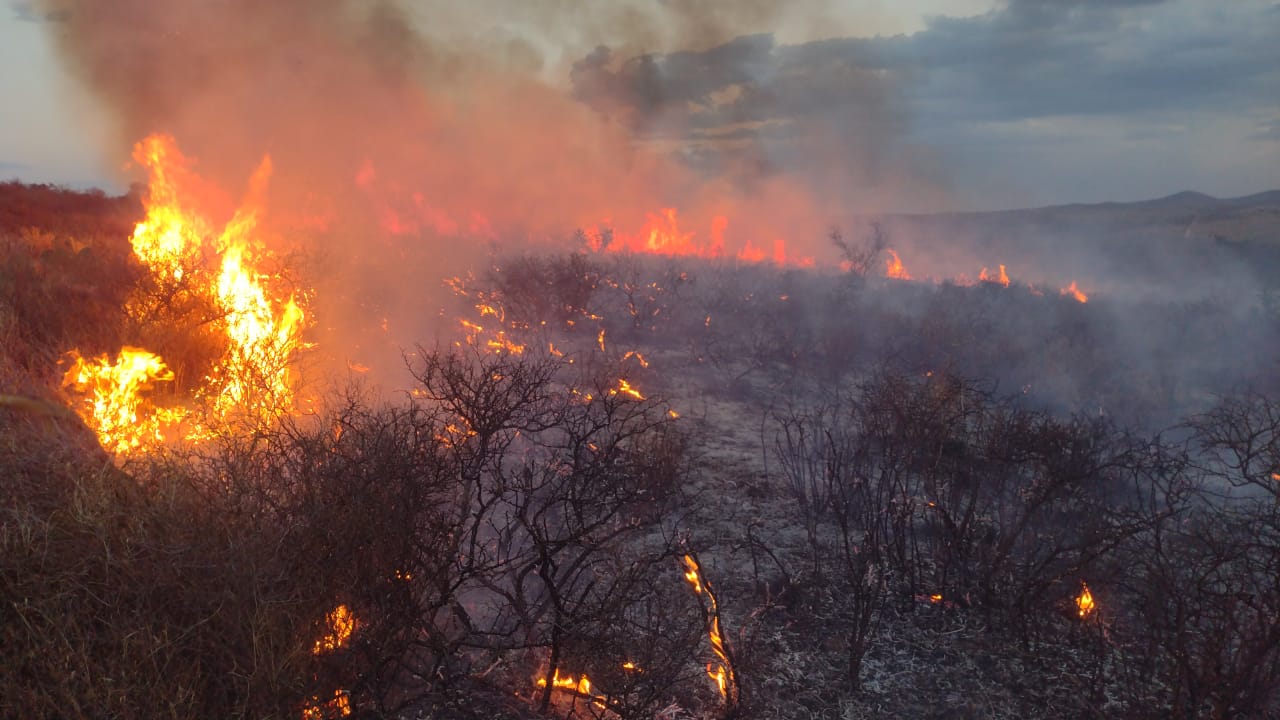 CONTROLAN INCENDIO EN MULEROS; AFECTA 130 HECTÁREAS