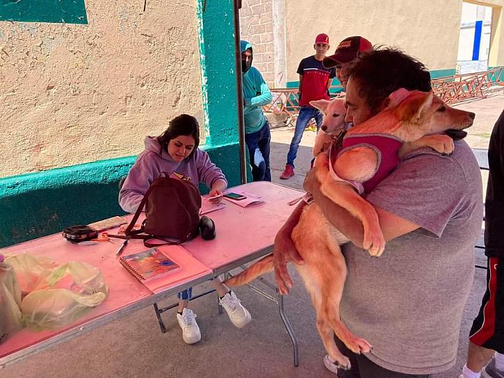 PONEN EN MARCHA PRIMERA JORNADA DE ESTERILIZACIÓN CANINA Y FELINA EN RÍO GRANDE