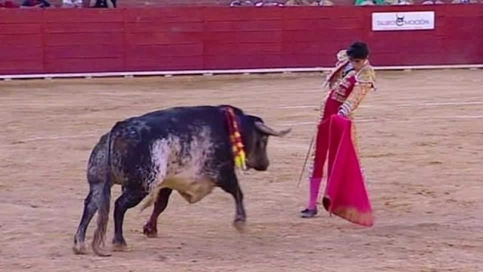 POR DESACATO A SUSPENSIÓN DE CORRIDAS DE TOROS, JUZGADO PROMOVERÁ ACCIÓN ANTE LA FGR