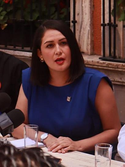 PREOCUPA AL PAN QUE GOBERNANTES DE MORENA INCENTIVEN A NO CUMPLIR LA LEY: PAN 