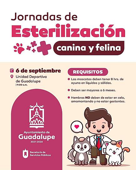 PREPARAN JORNADAS DE ESTERILIZACIÓN CANINA Y FELINA EN GUADALUPE