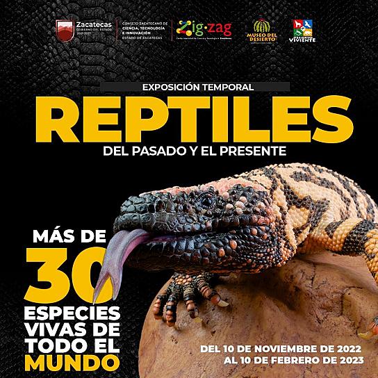 PREPARA ZIGZAG SEGUNDA EXHIBICIÓN DE REPTILES