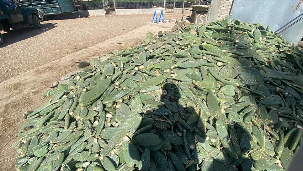 PROMUEVE CIENCIAS QUÍMICAS ACERCAMIENTO CON PRODUCTORES ZACATECANOS