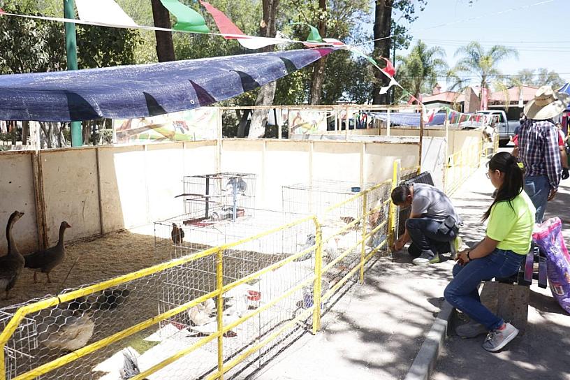 PROMUEVEN ACTIVIDAD LÚDICA RECREATIVA PARA NIÑOS CON LA GRANJITA EN JEREZ