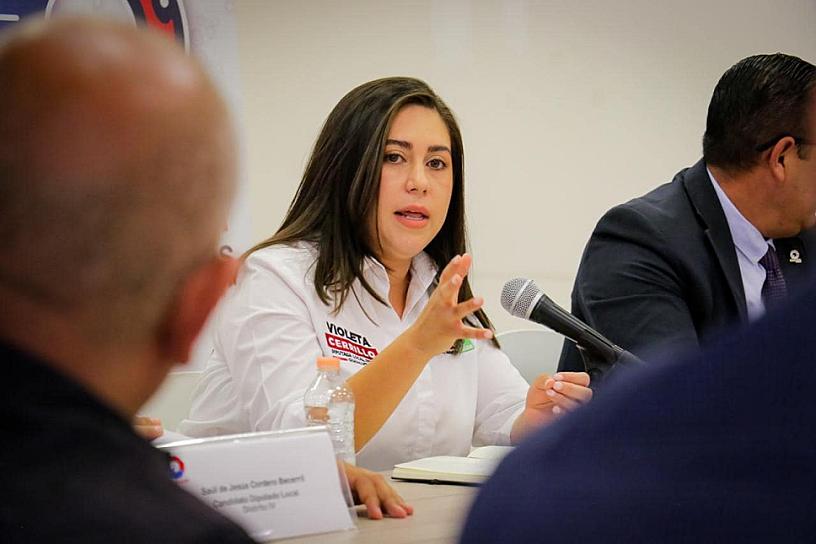 PROPONE DIPUTADA QUE FUNCIONARIOS PUEDAN SER PROCESADOS SIN SER DETENIDOS NI SEPARADOS DEL CARGO 