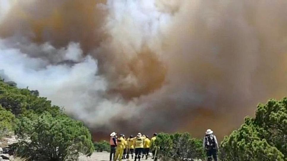 PROPONE FEMAT RETOMAR PROYECTO PARA DECLARAR ÁREA NATURAL PROTEGIDA AL SEMIDESIERTO EN ZACATECAS 