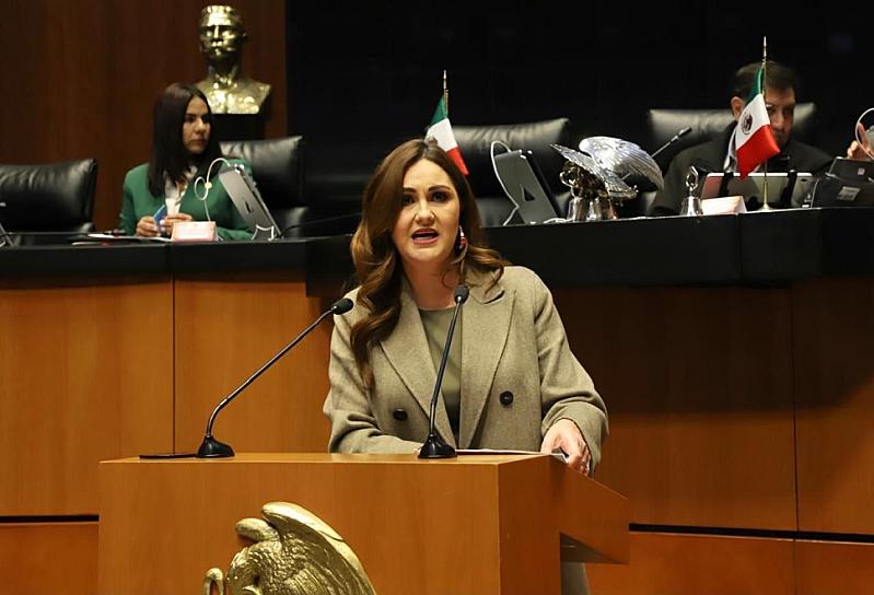 PROPONE GEOVANNA BAÑUELOS GARANTIZAR UNA VIDA DIGNA A PENSIONADOS POR INVALIDEZ