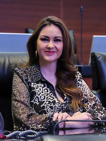 PROPONE GEOVANNA BAÑUELOS PUNTO DE ACUERDO PARA PROTEGER A LOS ADULTOS MAYORES 