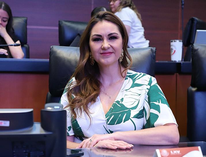 PROPONE GEOVANNA BAÑUELOS SUBSIDIAR EL COBRO DEL SERVICIO DE ENERGÍA ELÉCTRICA 