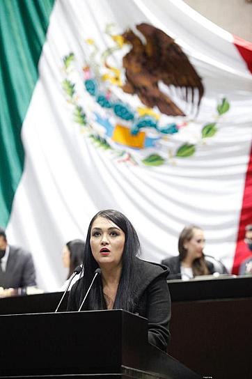 PROPONEN HASTA 6 AÑOS DE PRISIÓN POR DESPOJO DE VIVIENDA A ADULTOS MAYORES