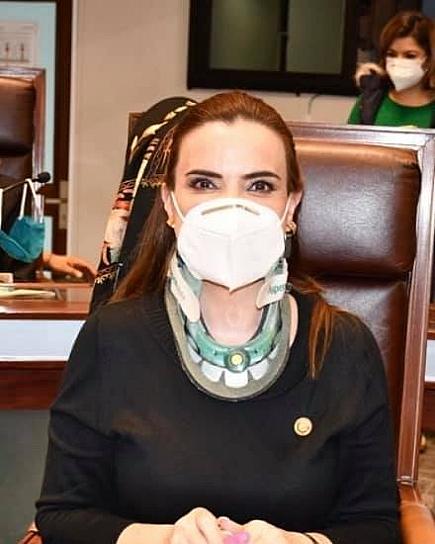 PROYECTO SANITARIO DE FRESNILLO NO ESTÁ INTEGRADO: SAMA