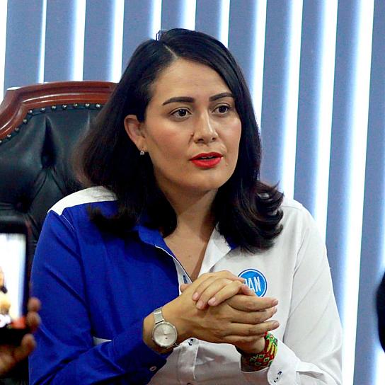 CUESTIONA ACCIÓN NACIONAL PEF PROPUESTO POR LA SHCP