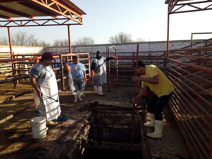 INTENSIFICAN ACCIONES DE SANIDAD Y LIMPIEZA EN EL RASTRO DE RÍO GRANDE