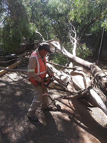 REALIZAN ACCIONES DE MANTENIMIENTO AL PARQUE ARROYO DE LA PLATA