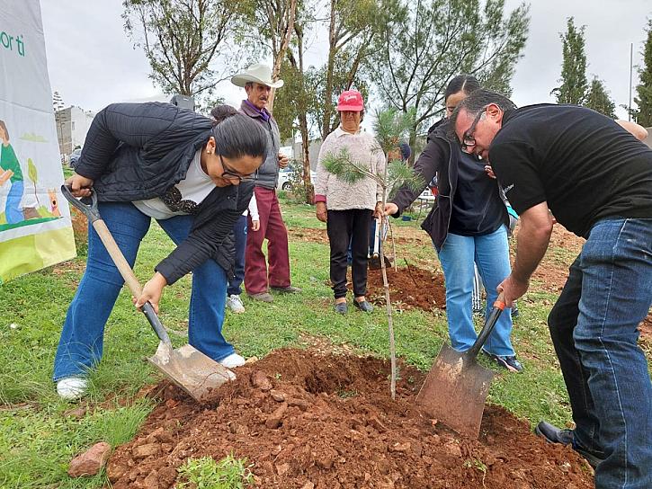 REALIZAN JORNADA DE REFORESTACIÓN EN LA COLONIA GONZÁLEZ ORTEGA