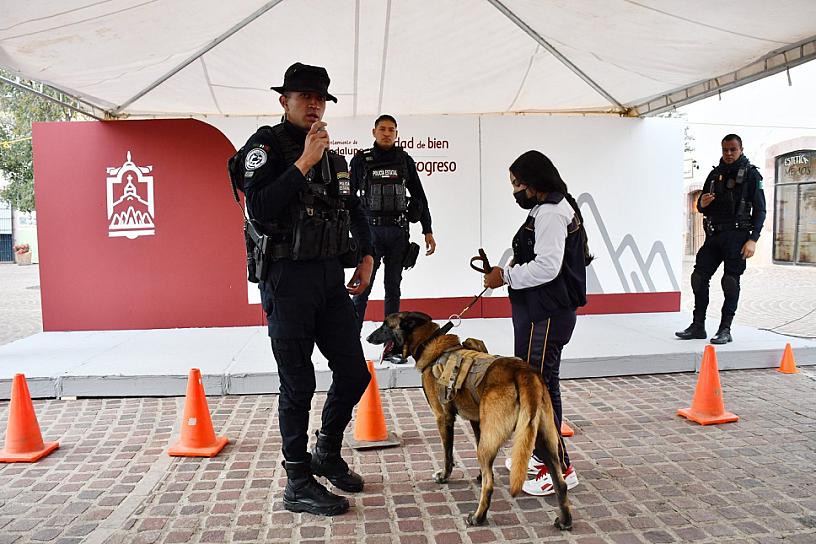 REALIZAN PRIMERA FERIA DE LA MASCOTA