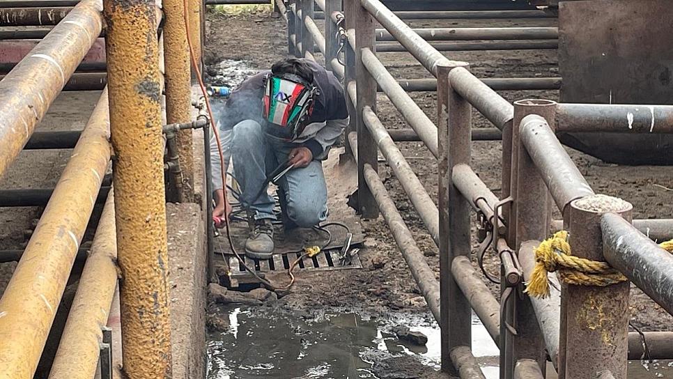 REALIZAN TRABAJOS PARA MEJORAR RASTRO DE JEREZ