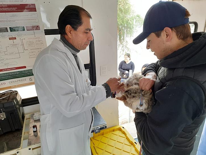 REALIZARÁ SSZ JORNADA DE ESTERILIZACIÓN CANINA Y FELINA EN MUNICIPIOS