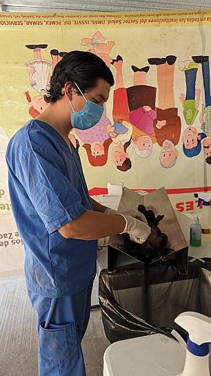 REALIZA SSZ CAMPAÑA DE ESTERILIZACIÓN DE MASCOTAS EN MUNICIPIOS ZACATECANOS