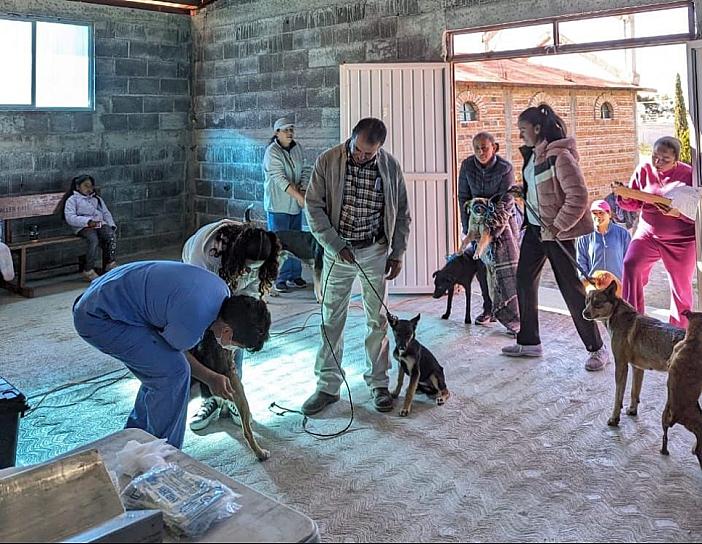 REALIZA SSZ JORNADAS DE ESTERILIZACIÓN DE MASCOTAS