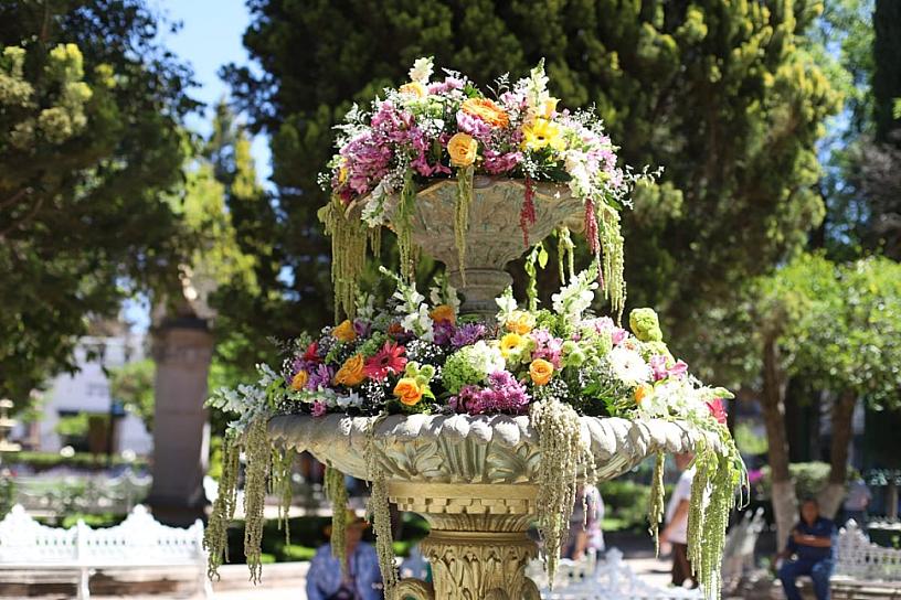 REAPERTURAN JARDÓN PRINCIPAL EN JEREZ 