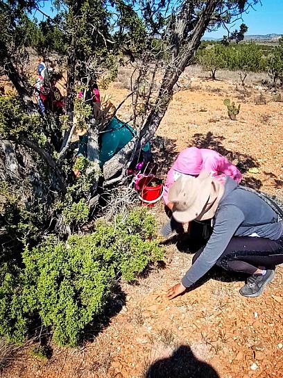 RECIBE ESCUELA RURAL DE PINOS MENCIÓN HONORÍFICA NACIONAL POR PROYECTO AMBIENTAL