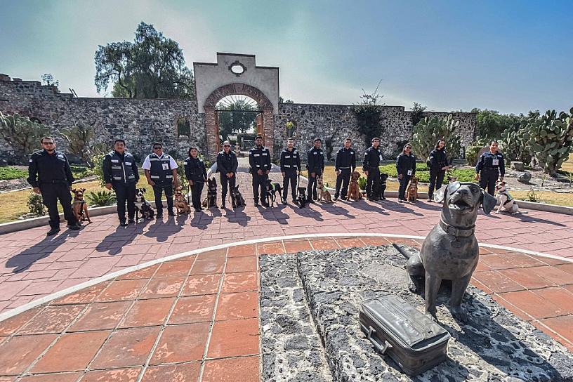 Recluta Agricultura 13 binomios caninos para prevenir plagas y enfermedades 