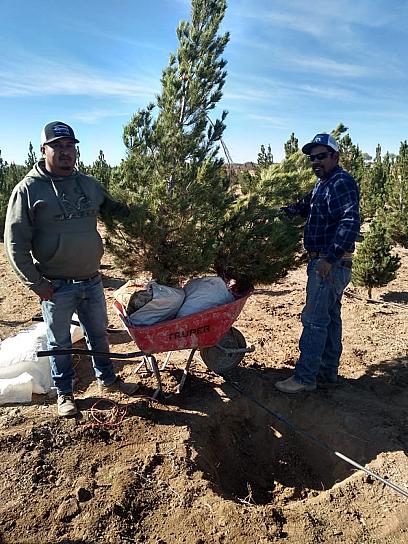 IMPULSAN REFORESTACIÓN DE ESPACIOS PÚBLICOS EN RÍO GRANDE&nbsp;