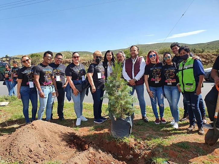 REFORESTAN CAMELLÓN DE LA VIALIDAD VETAGRANDE