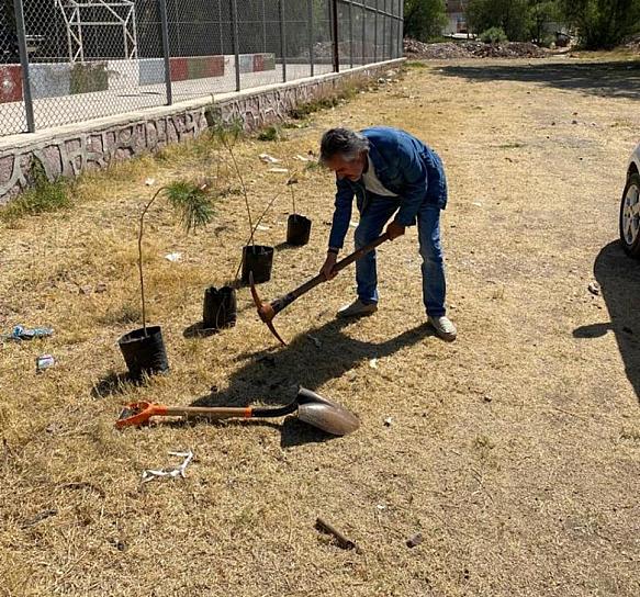 REFORESTAN COLONIA TIERRA Y LIBERTAD