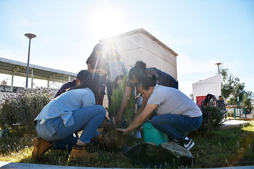 REFORESTAN LA PLAZA DE LAS GARANTÍAS