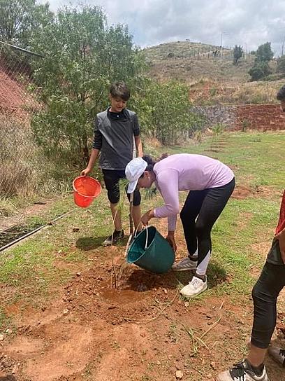 REFORESTAN UNIDAD DEPORTIVA BENITO JUÁREZ