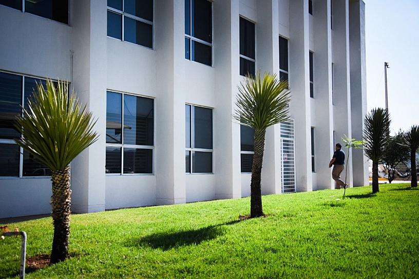 REFORESTARÁN CIUDAD ADMINISTRATIVA 
