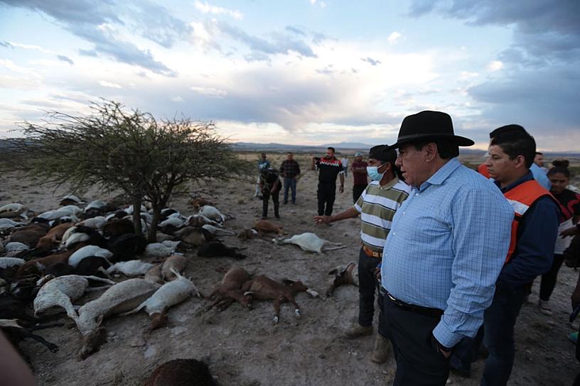 REFRENDA DAVID MONREAL APOYO A RÍO GRANDE TRAS GRANIZADA