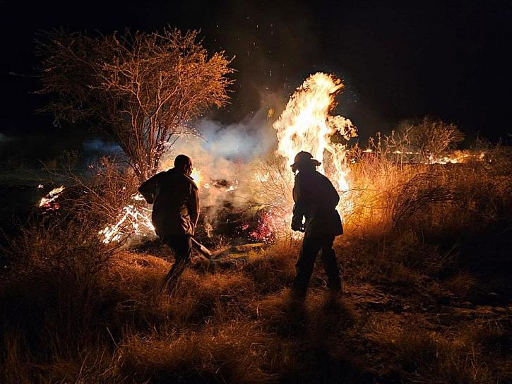 Refuerzan combate a incendios forestales en Zacatecas